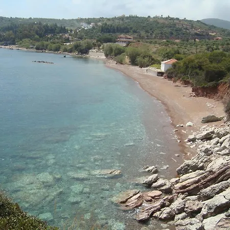 Maria's Houses