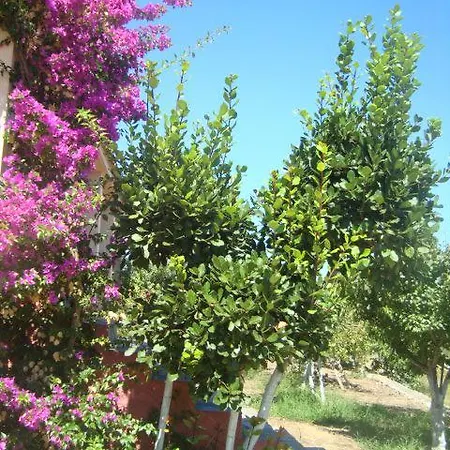 Maria's Houses 公寓 Koróni